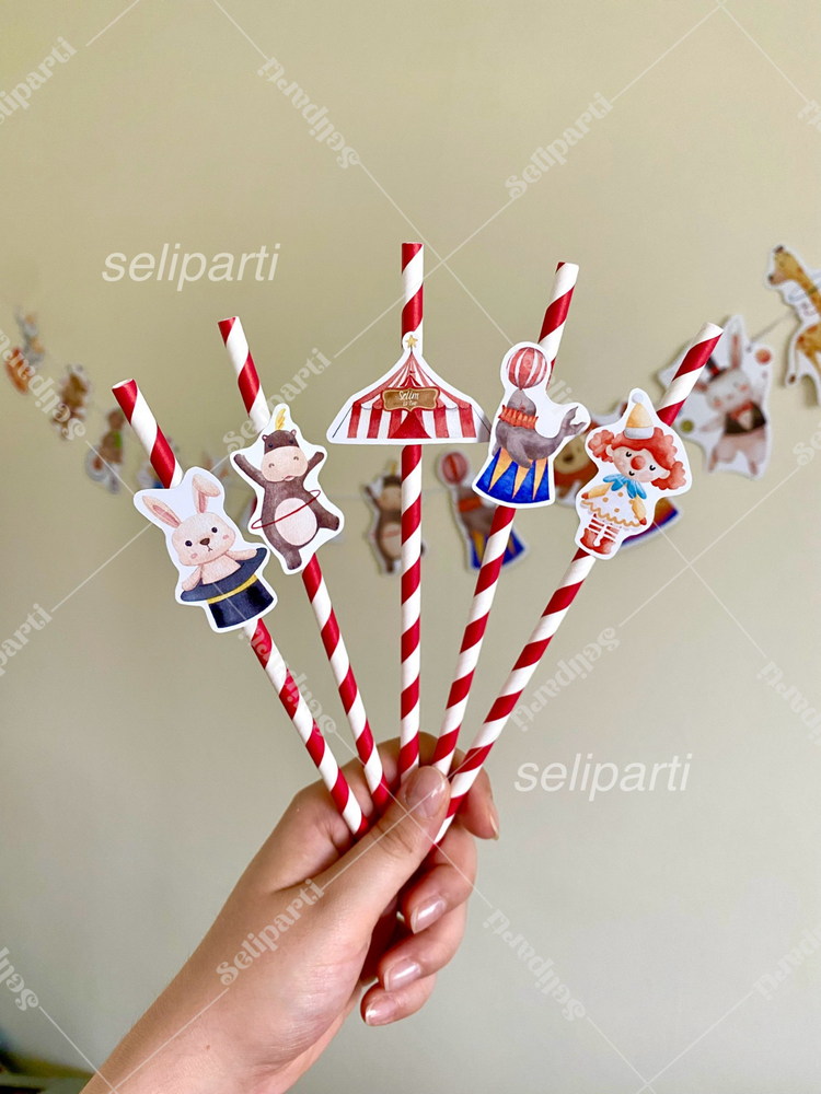 Sirk Temalı Pipet - Opsiyon Seçiniz
