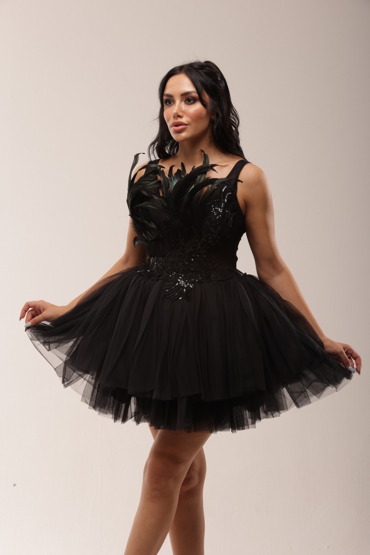 Tara Noir – Siyah Tüylü Tül Mini Elbise