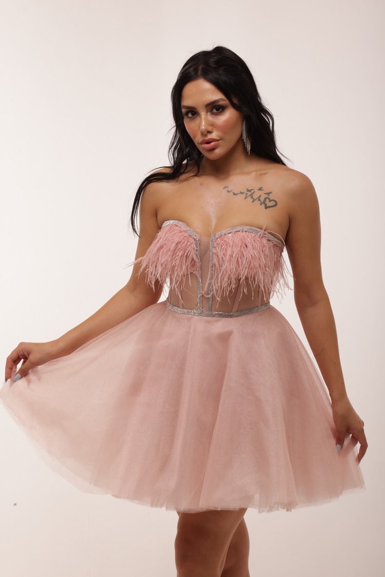 Ariadne Blush – Pudra Tüylü Couture Mini Elbise