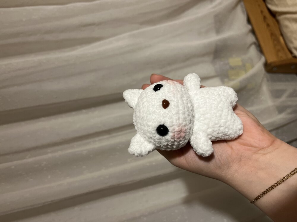 mini kedi