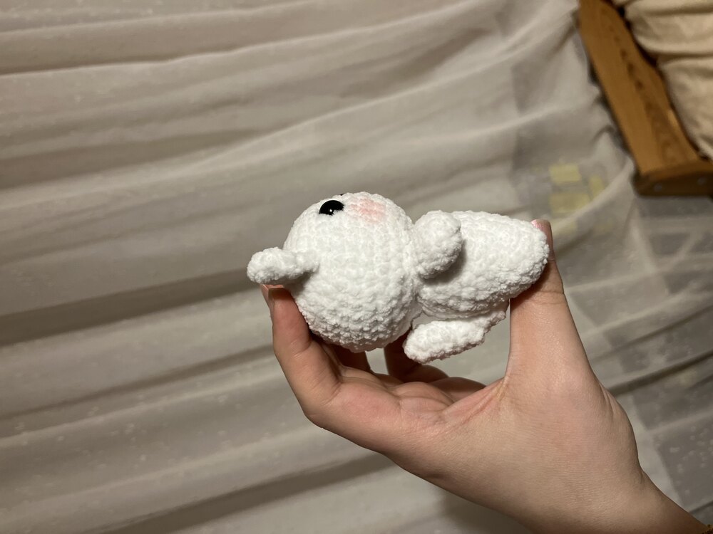 mini kedi