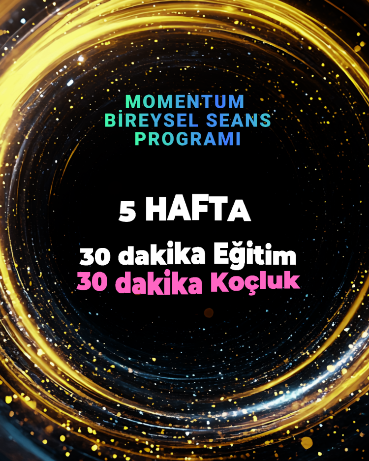 MOMENTUM BİREYSEL SEANS PROGRAMI