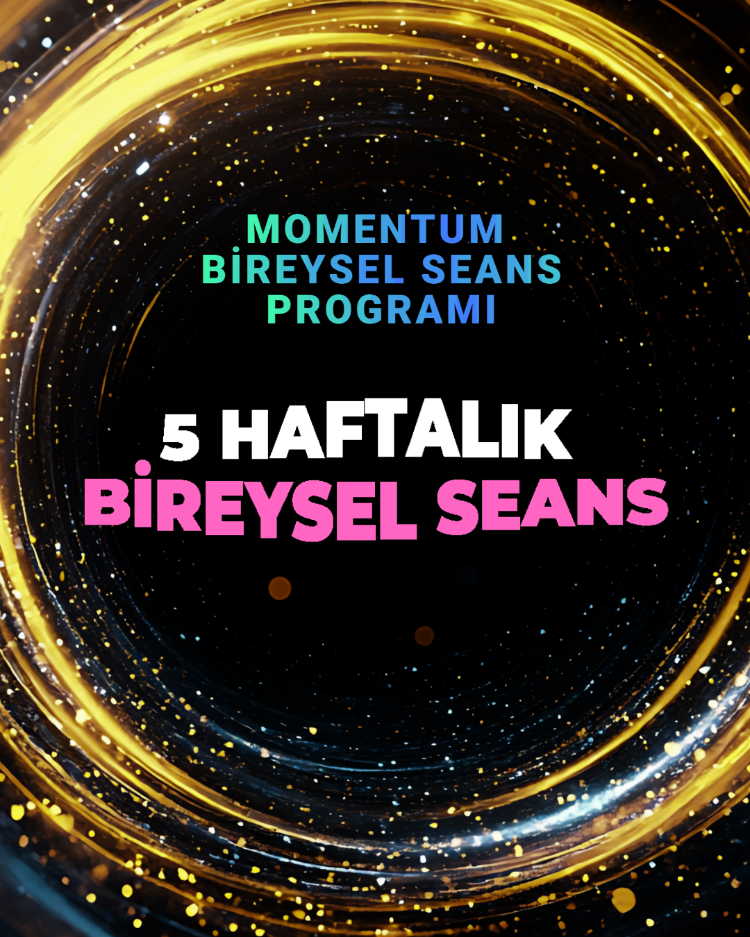 MOMENTUM BİREYSEL SEANS PROGRAMI