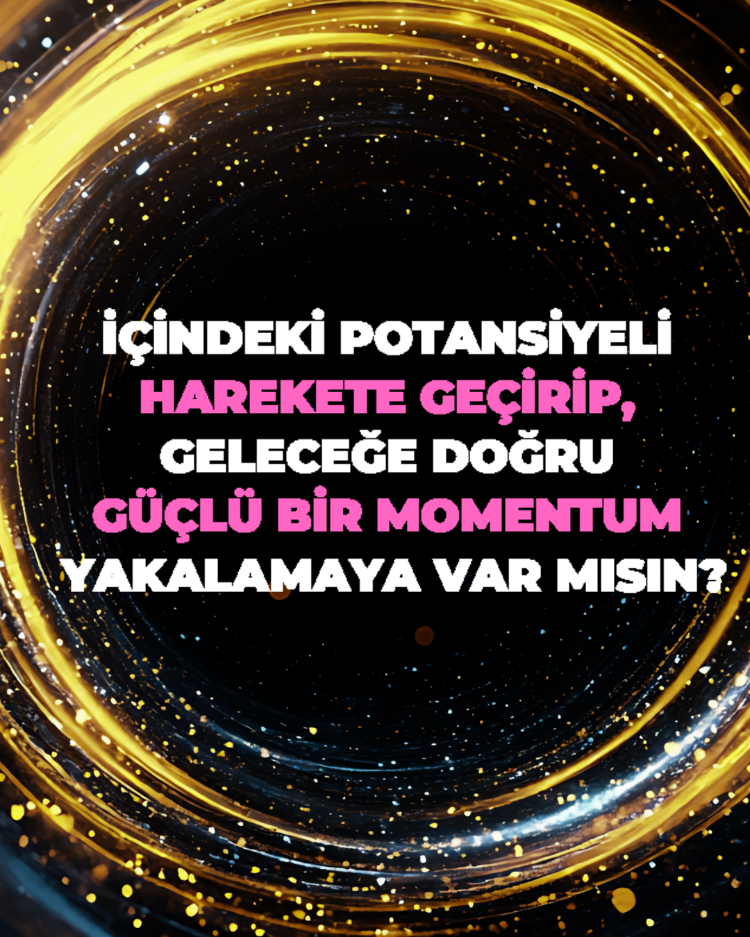MOMENTUM BİREYSEL SEANS PROGRAMI