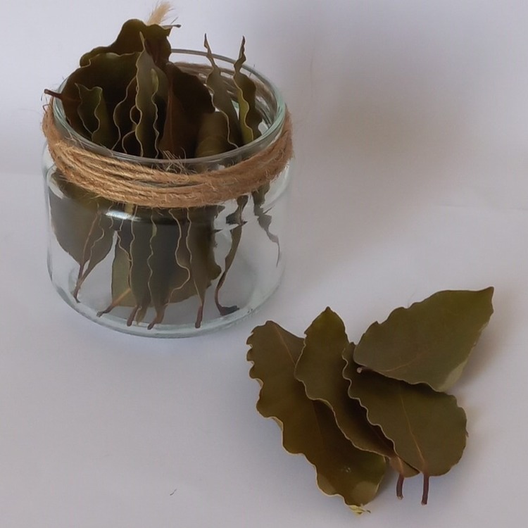 Defne Yaprağı (50 gr)