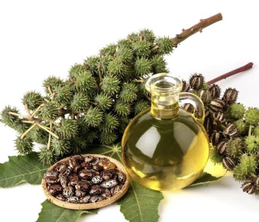 Hint yağı 50 ml soğuk pres