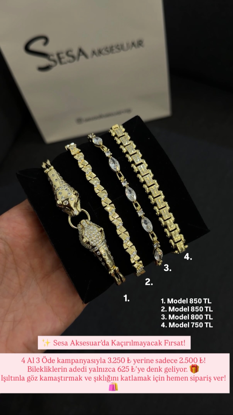 14 K Çelik Bileklik Kombin