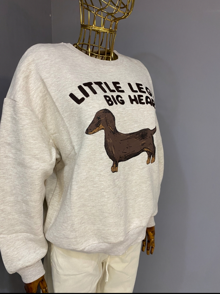 Sweat shirt 
