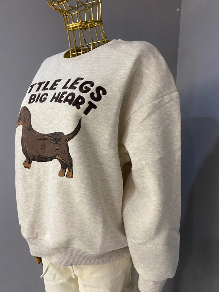 Sweat shirt 