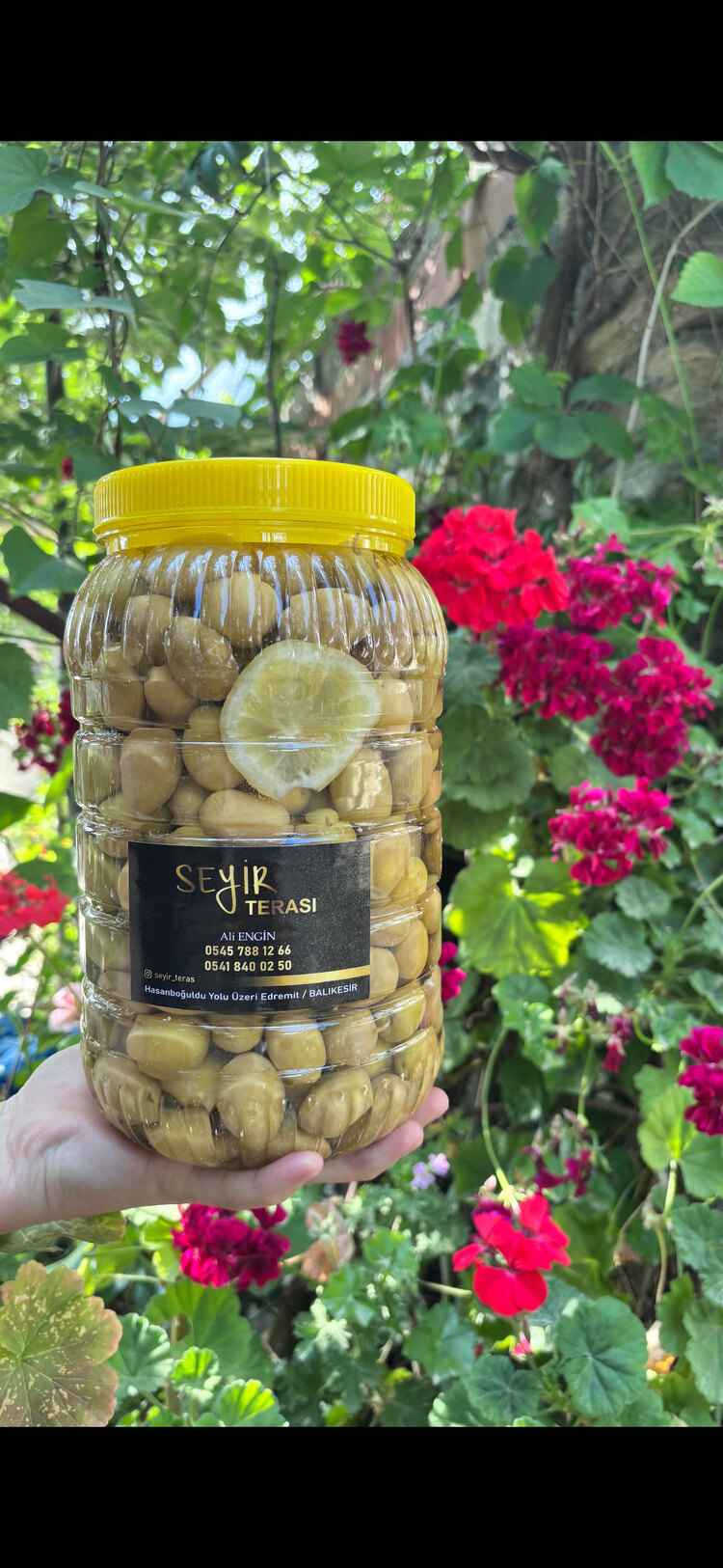 Domat zeytin 2 kg