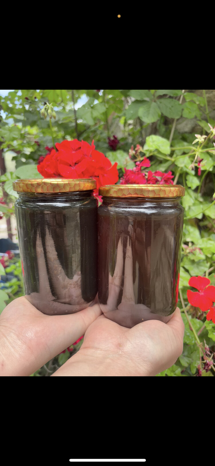 Kestane ıhlamur karışık bal 1 kg