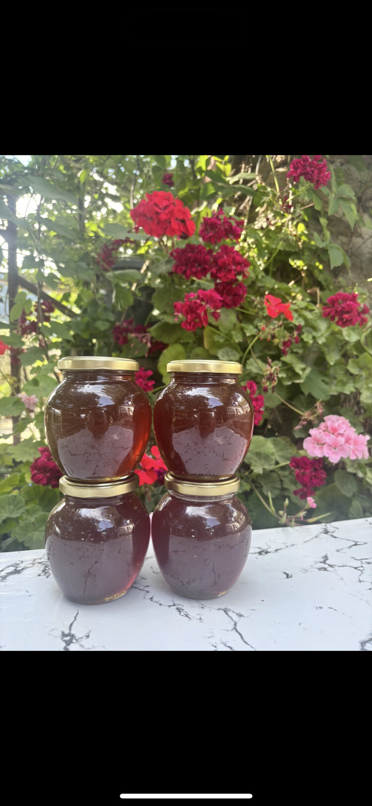 500 gr çam balı