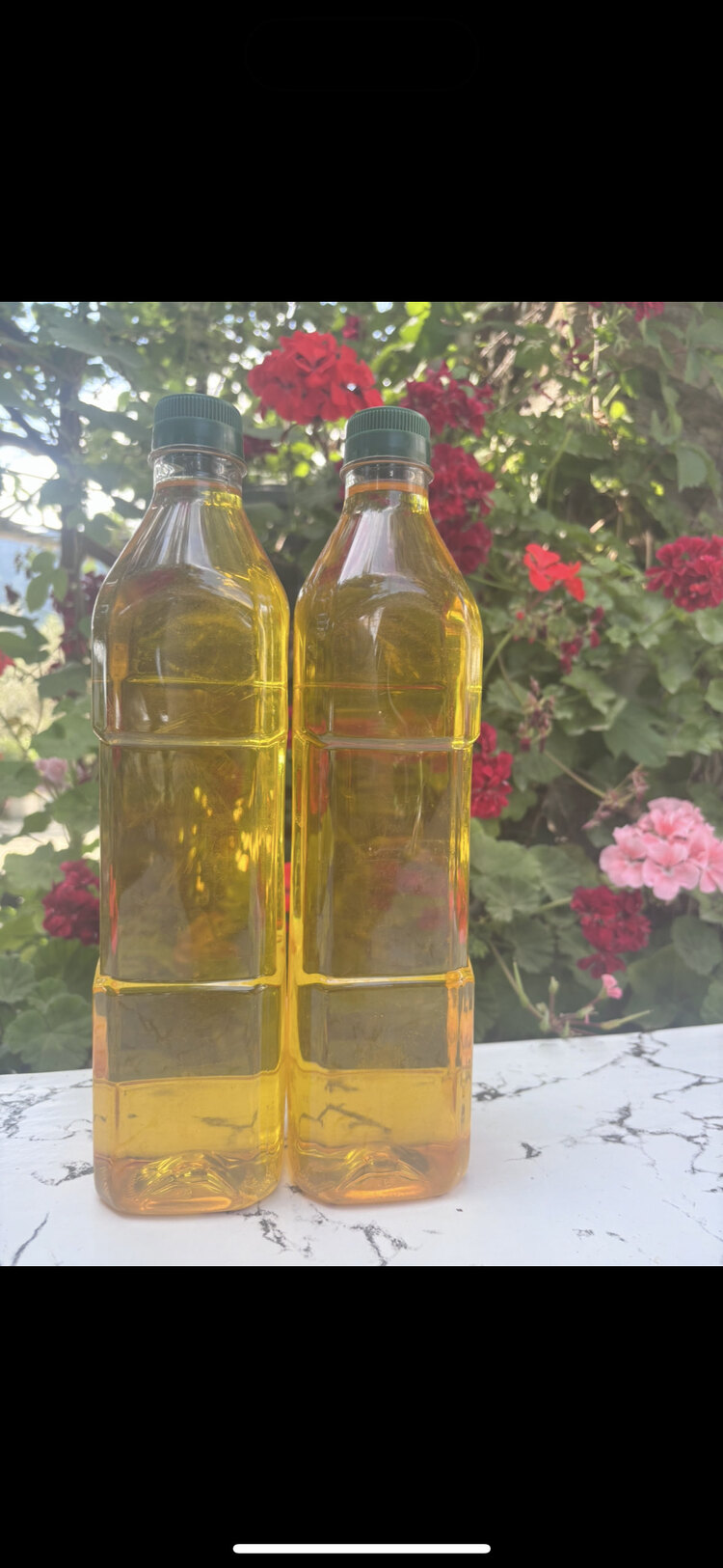 Sızma zeytin yağı 1 litre