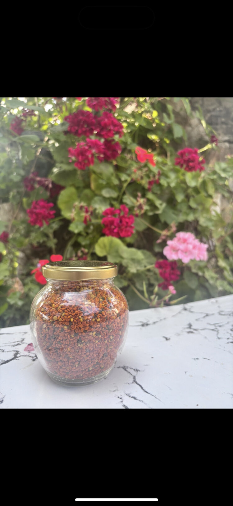 Arı poleni