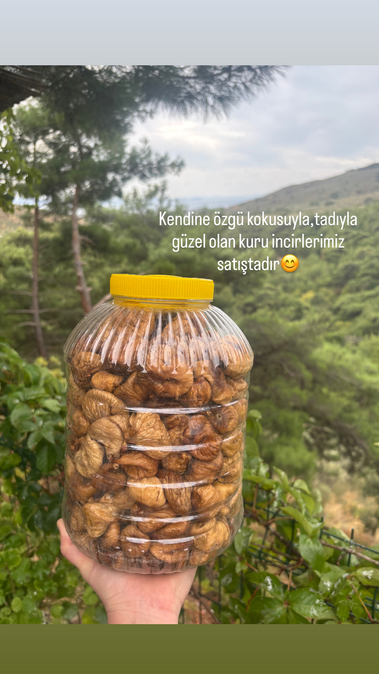 Kuru incir