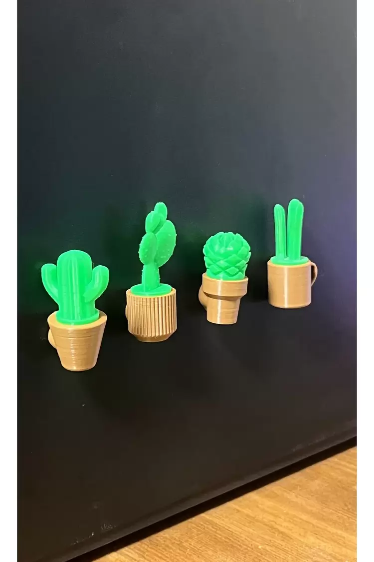 Mini Saksılı Bitkiler Mıknatıslı Buzdolabı Süsü