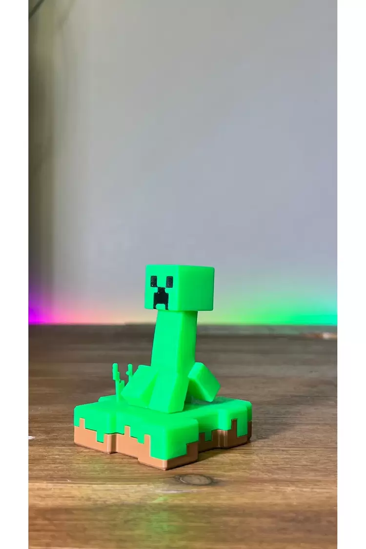 Minecraft İskelet ve Creeper Ada Hediyelik Figür