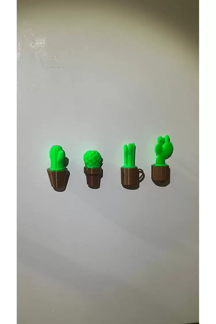 Mini Saksılı Bitkiler Mıknatıslı Buzdolabı Süsü