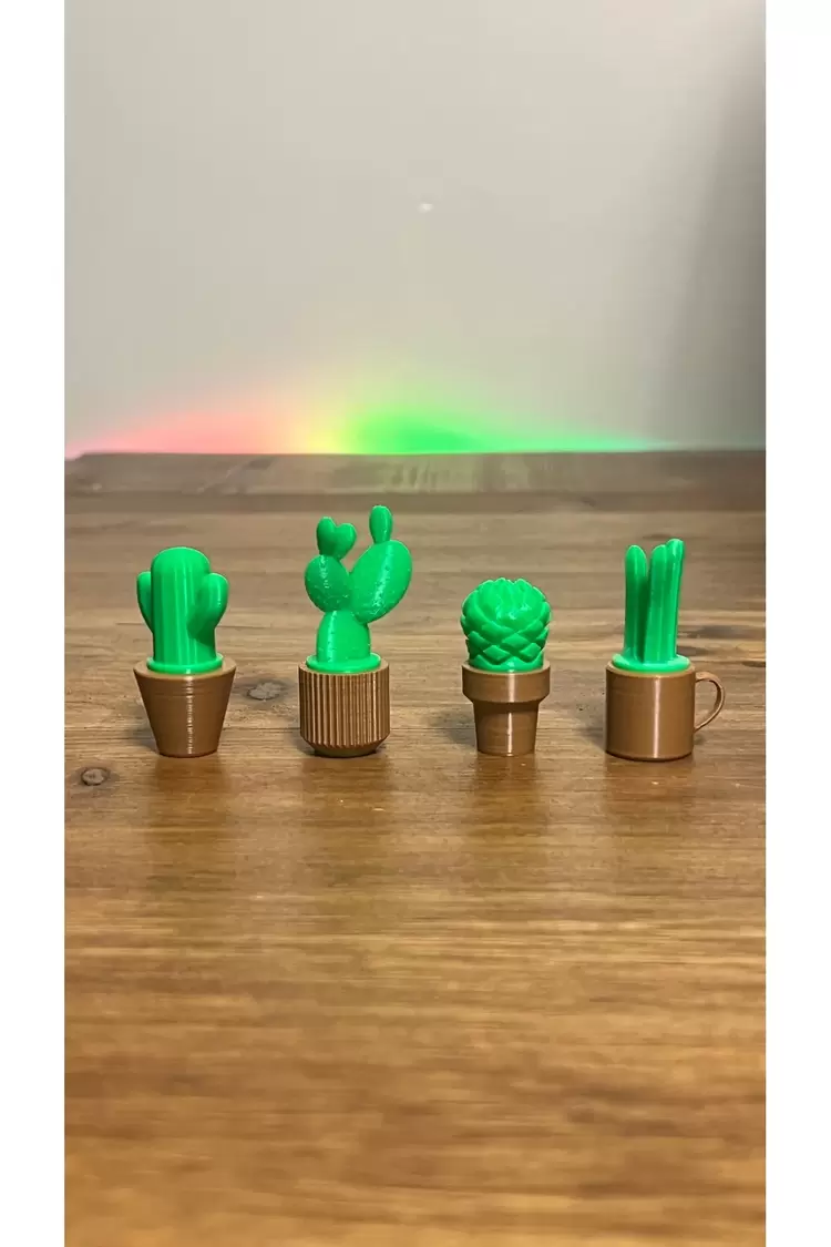 Mini Saksılı Bitkiler Mıknatıslı Buzdolabı Süsü
