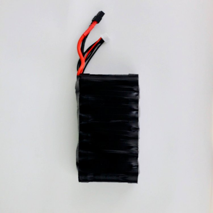SHAH 6S2P Battery Pack