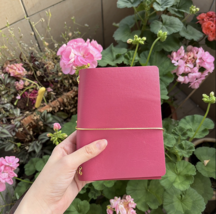 A6 Pembe Travelers