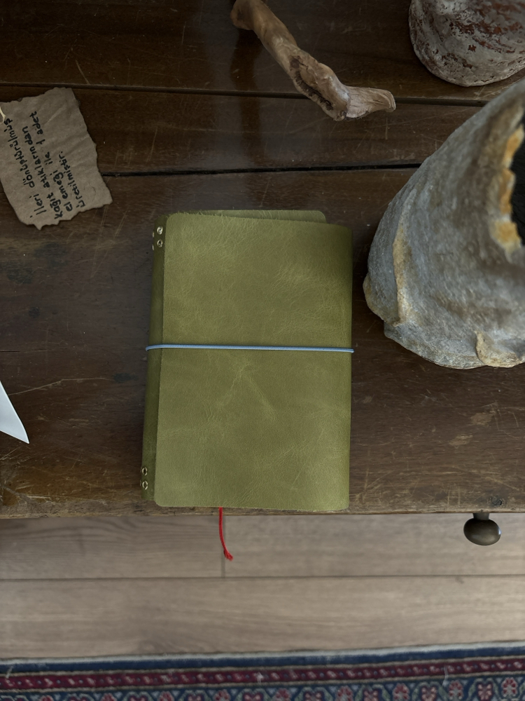 A6 Fıstık Trifold