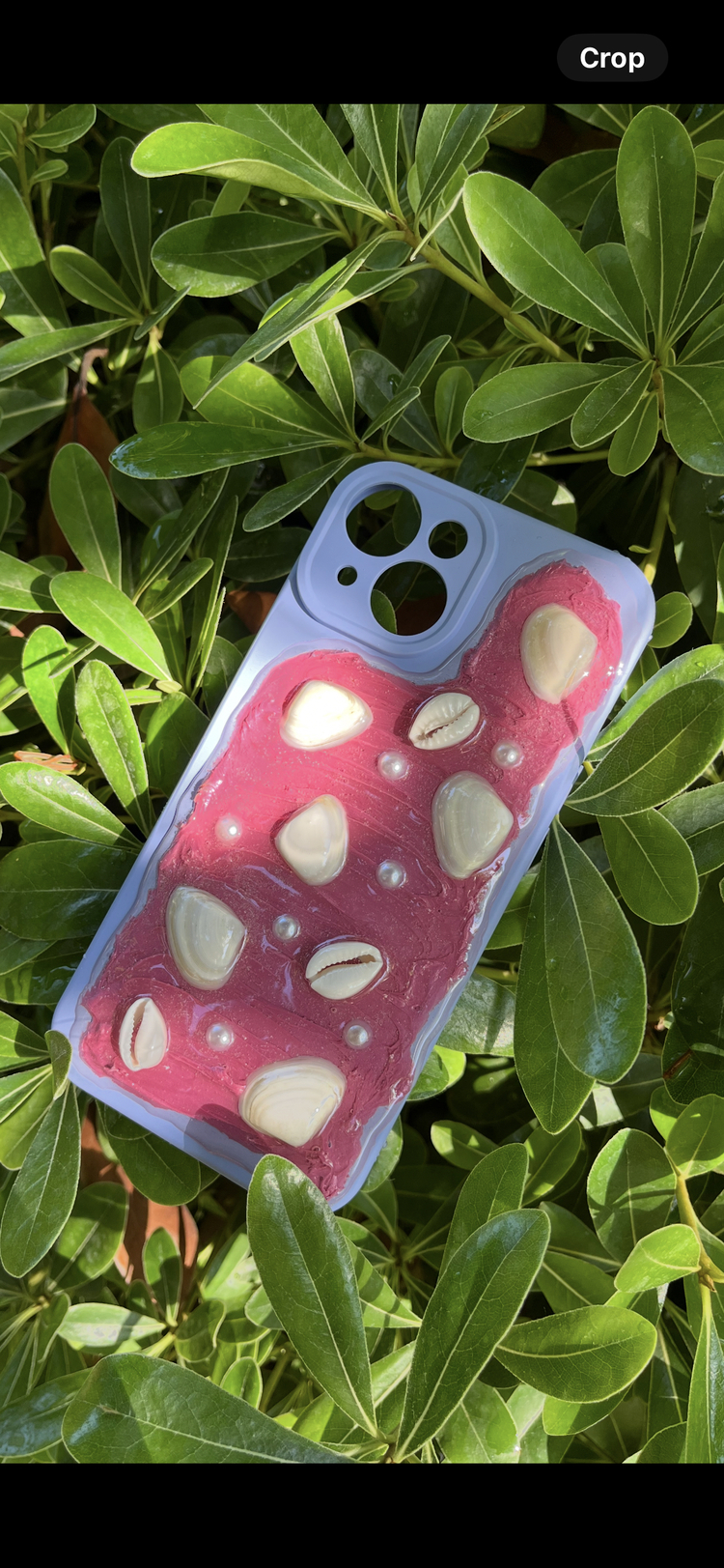 Sea Soul Sandy Case