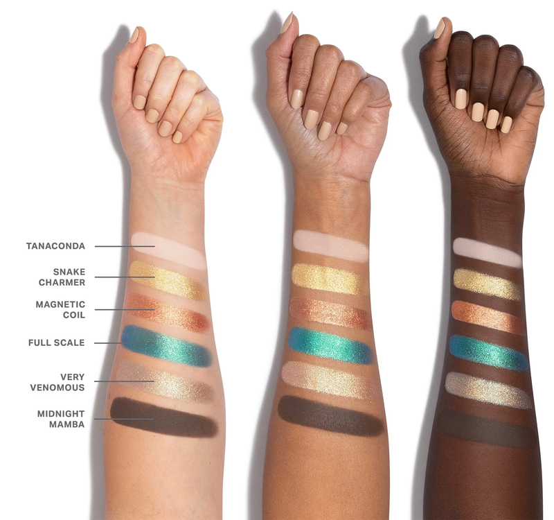 Morphe Eyeshadow Palette Python Code