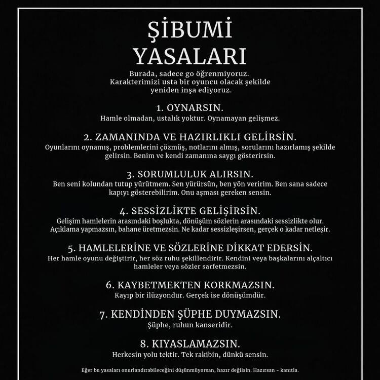 Şibumi Birebir (3 Ay)