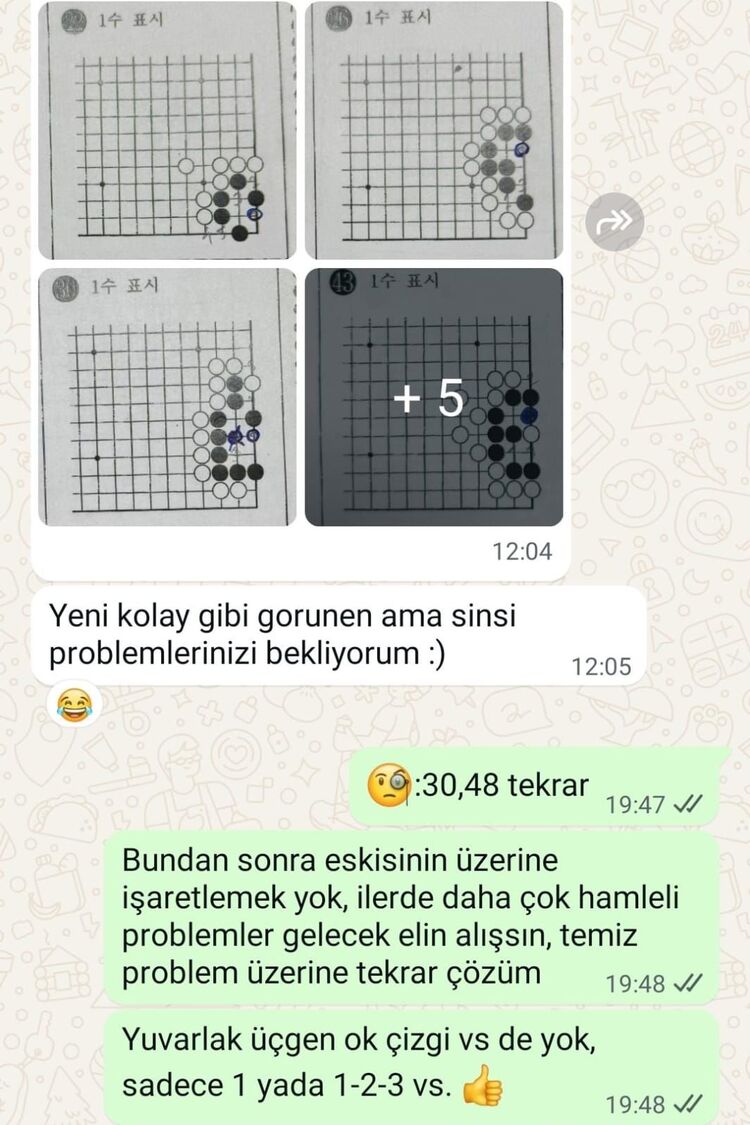 Mesaj Desteği (1 Ay)