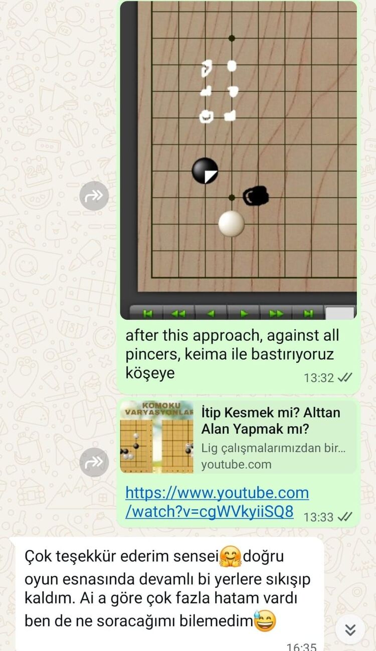 Mesaj Desteği (1 Ay)