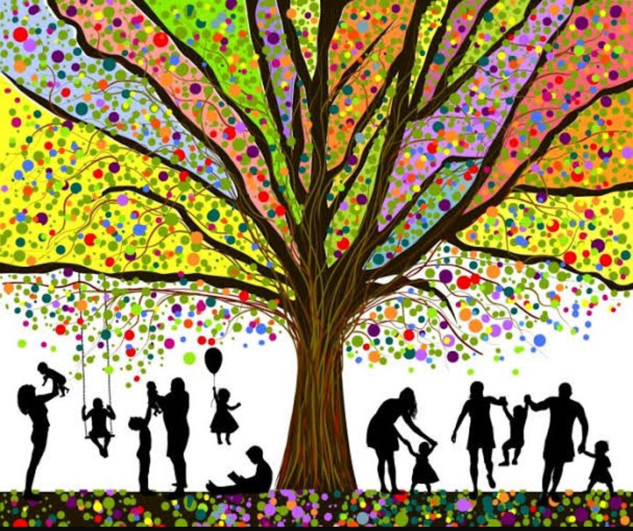 Aile Dizimi