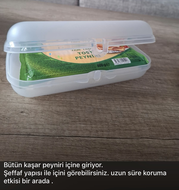 İstiridye beyaz