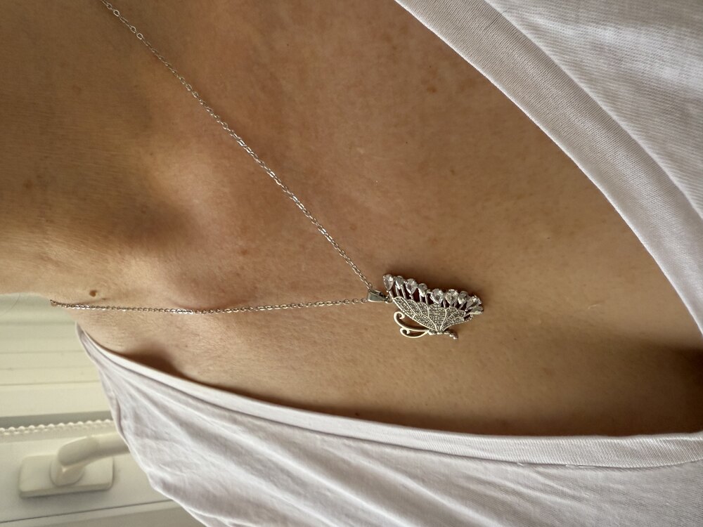 Taşlı Kelebek Kolye Gümüş Renk