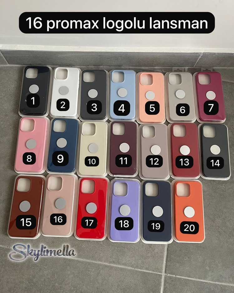 Apple Silikon Kılıf (16 Serisi)