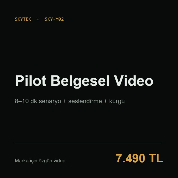 Pilot Belgesel Video | 8–10 dk Senaryo + Seslendirme + Kurgu