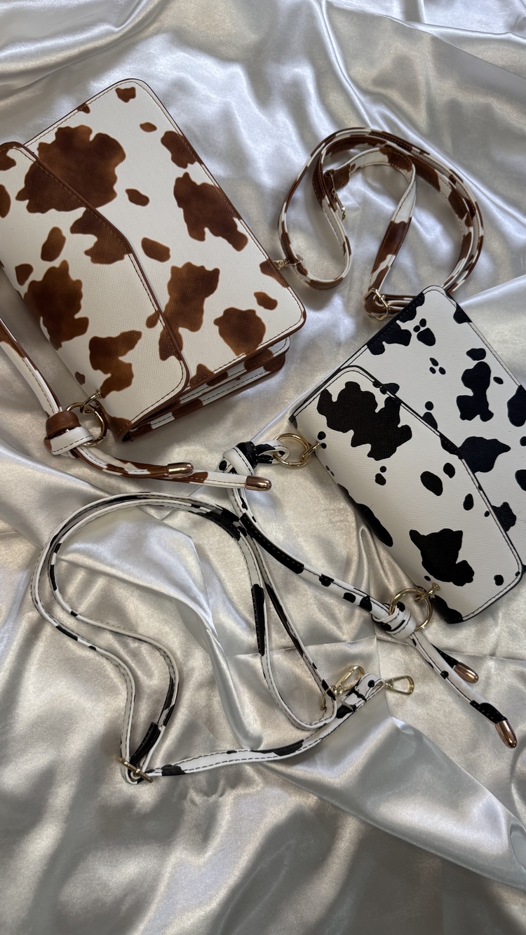 Cows