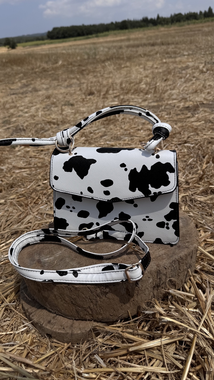 Cows