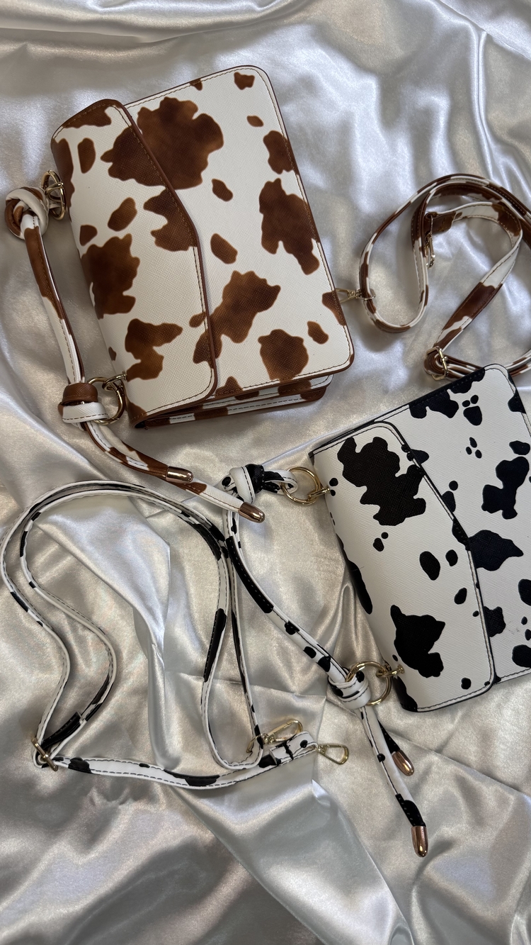 Cows