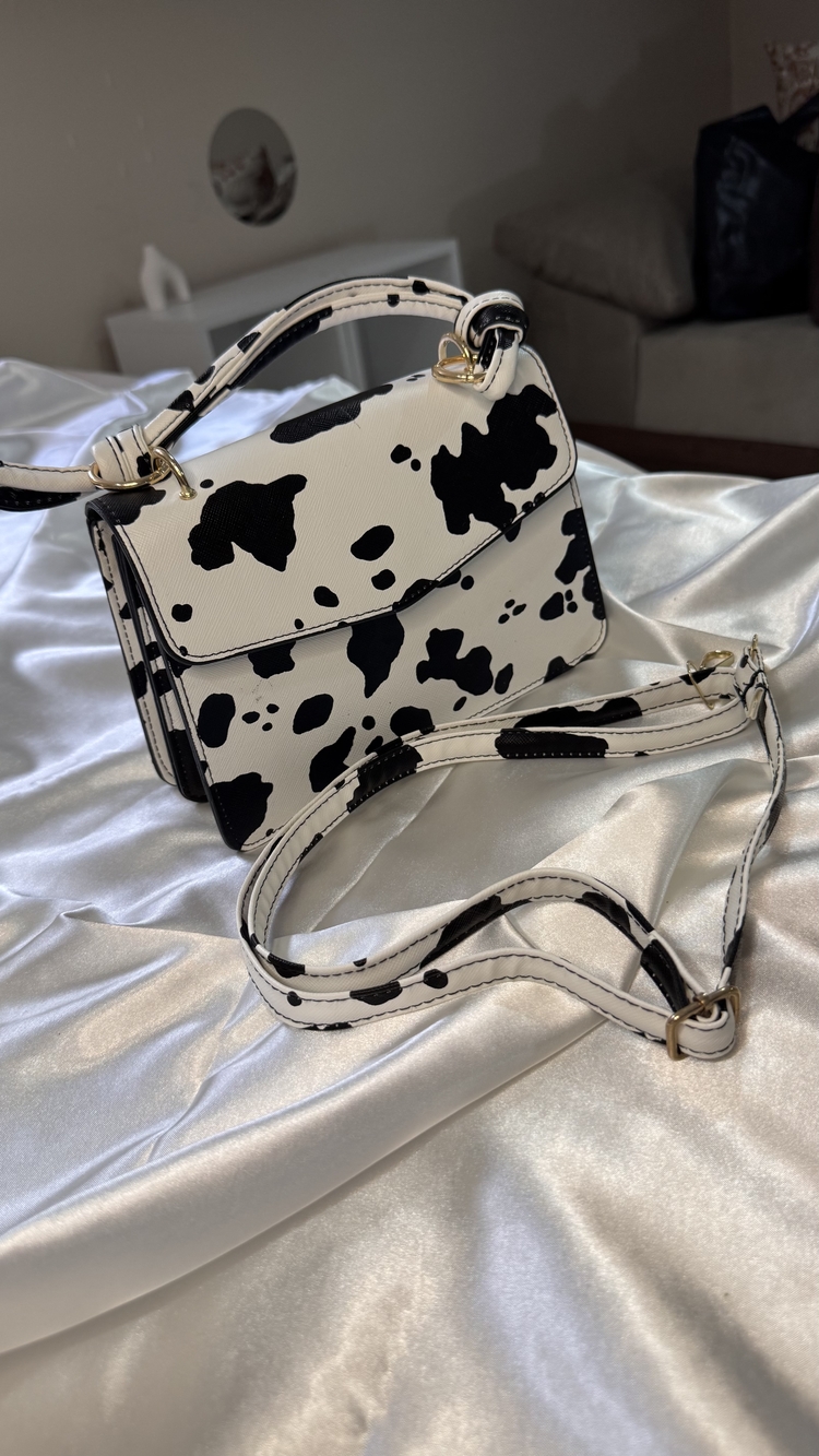 Cows