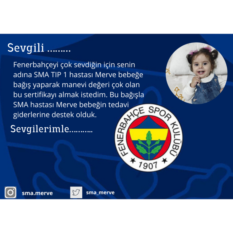 FENERBAHÇE TARAFTAR KARTI