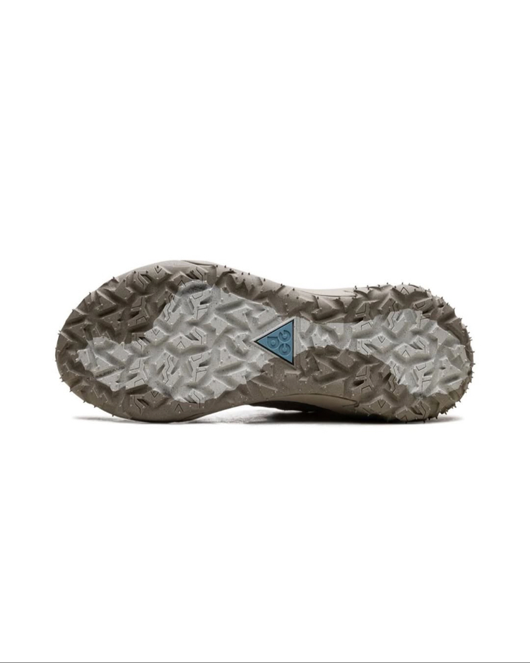 Nike ACG Mountain Fly 2 Low