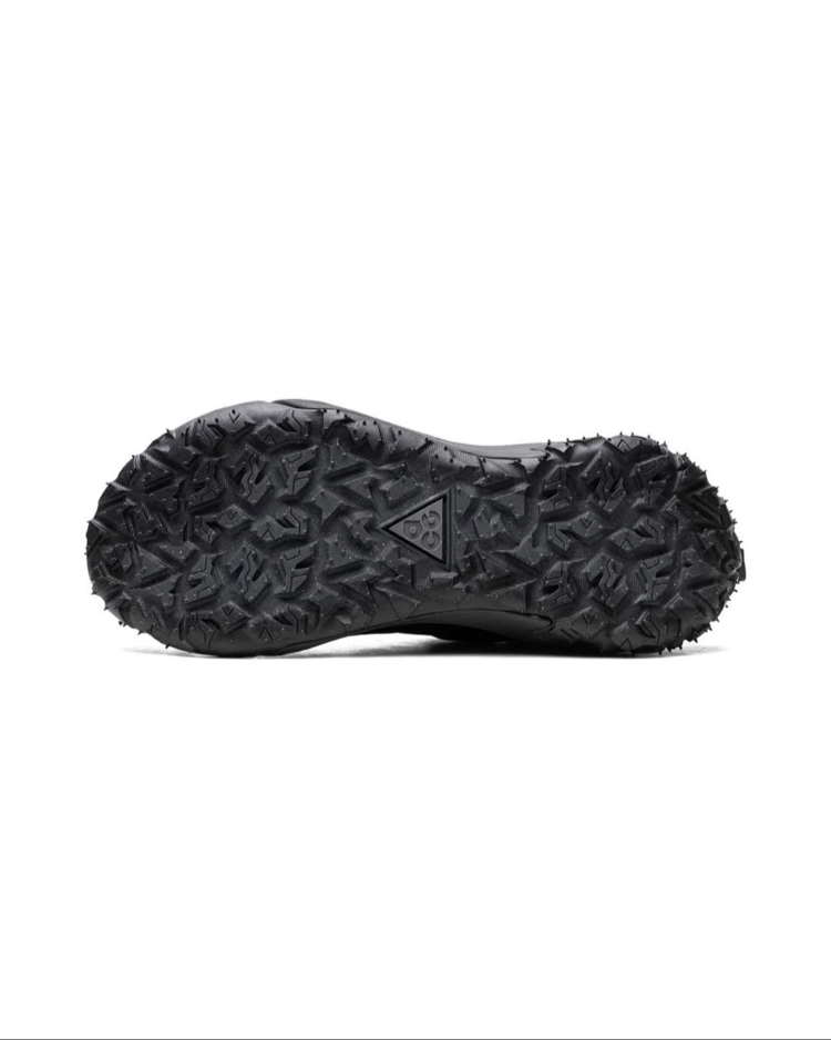 Nike ACG Mountain Fly 2 Low