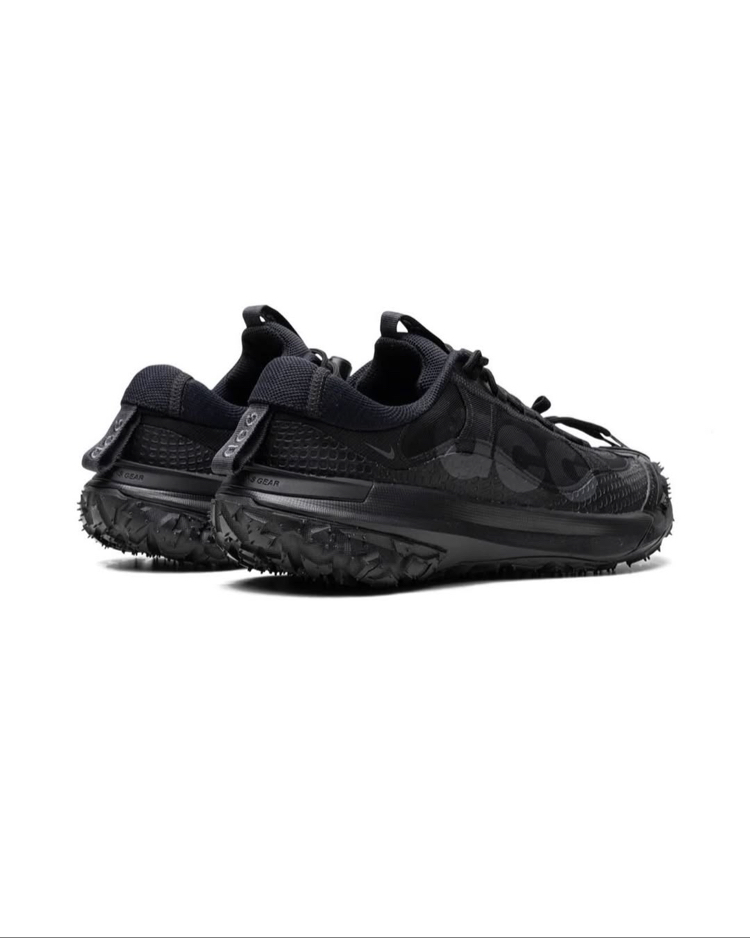 Nike ACG Mountain Fly 2 Low