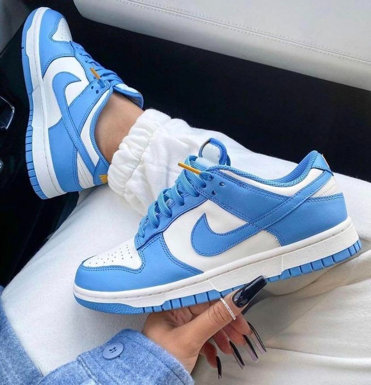 Nike Dunk Low UNC