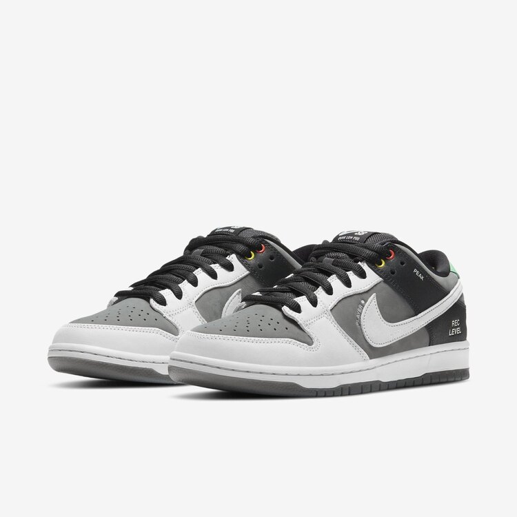 Nike SB Dunk Low Camcorder/ISO