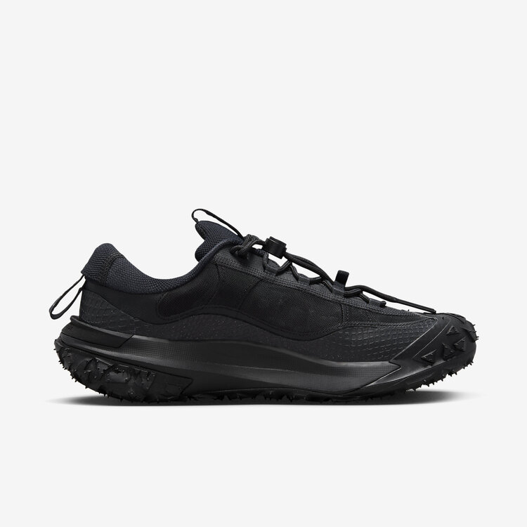 Nike ACG Mountain Fly Low 2