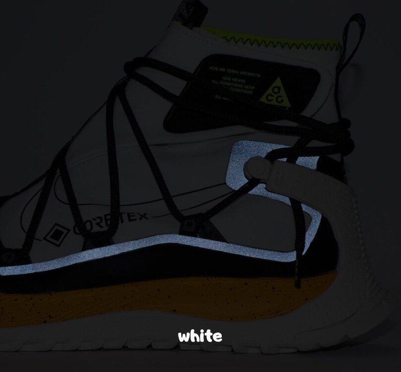 Acg Terra Antarktik Goretex Summit White