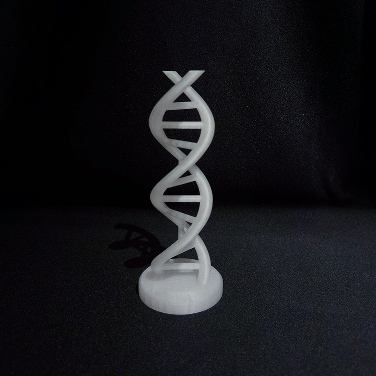 DNA Sarmalı Figürü - Bilim ve Estetiğin Buluşması