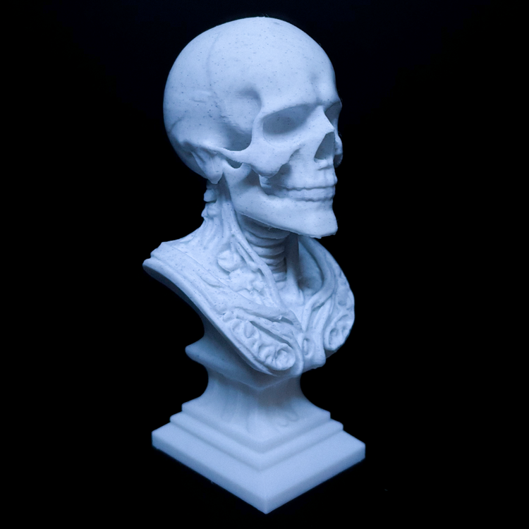 Skull Modren Decor